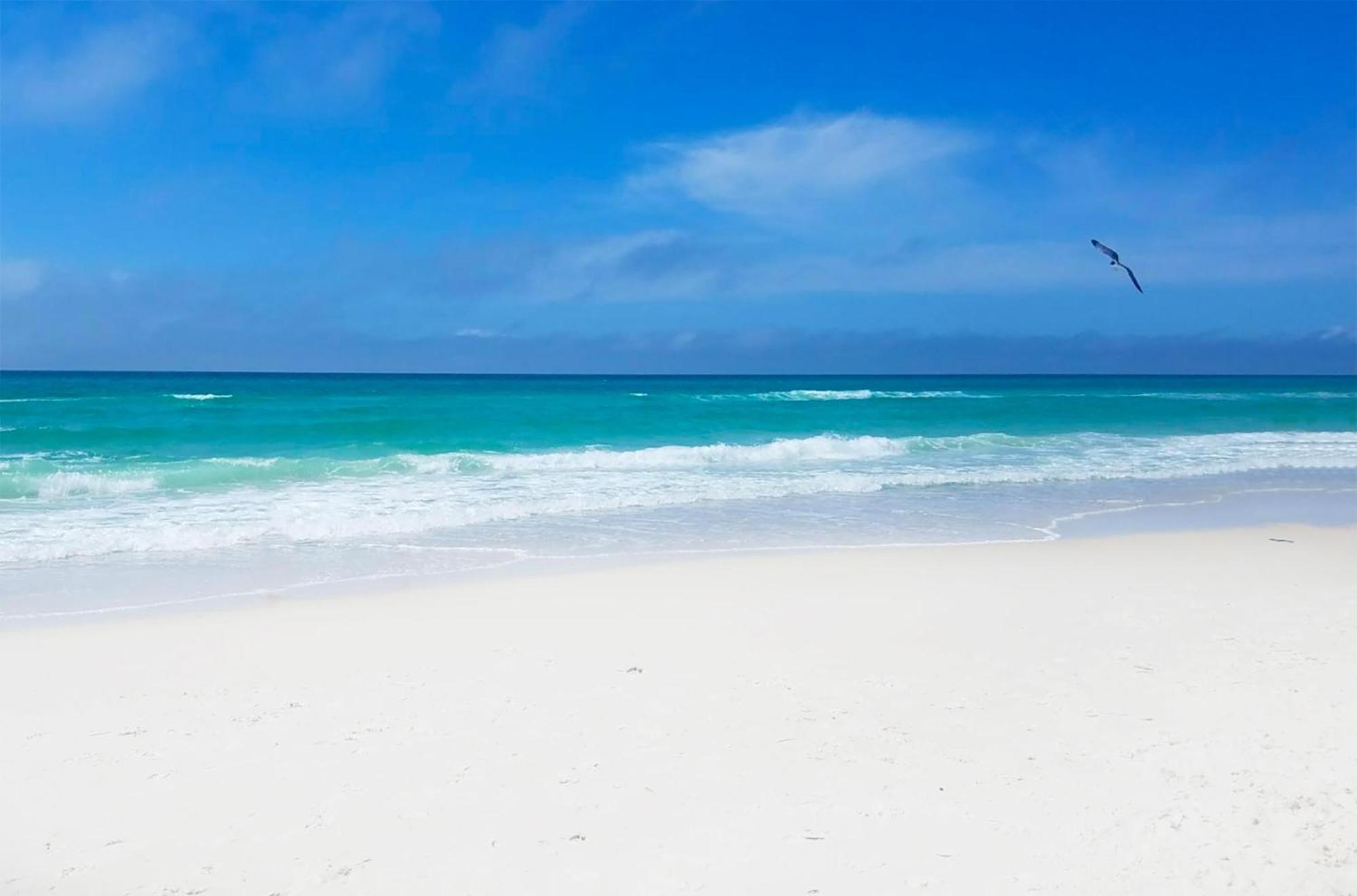 Willa Calypso 3-807 Panama City Beach Zewnętrze zdjęcie